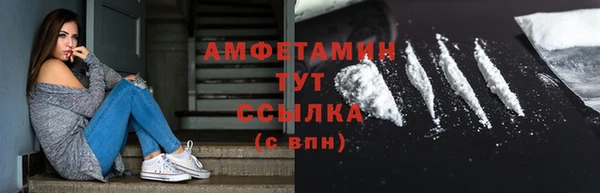 индика Краснотурьинск