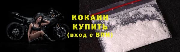 индика Краснотурьинск