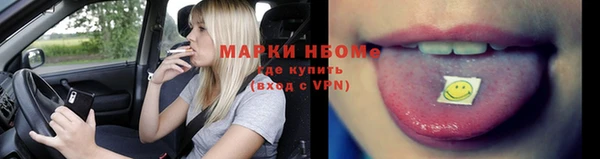 индика Краснотурьинск