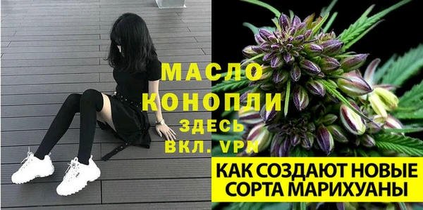 индика Краснотурьинск