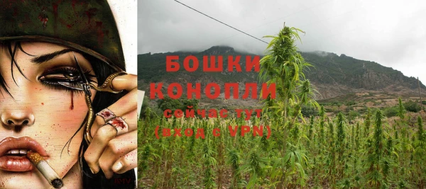 индика Краснотурьинск