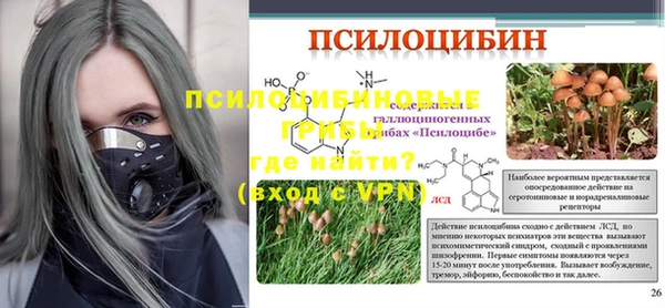 индика Краснотурьинск