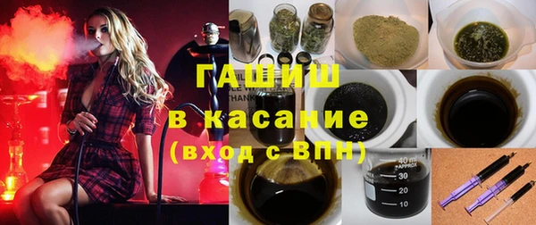 индика Краснотурьинск