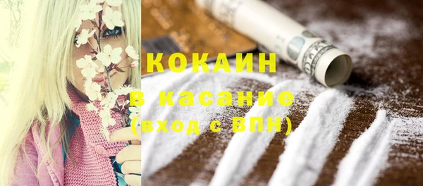 индика Краснотурьинск