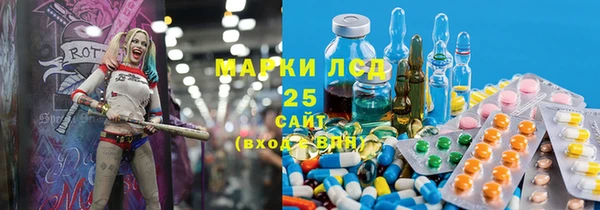 индика Краснотурьинск