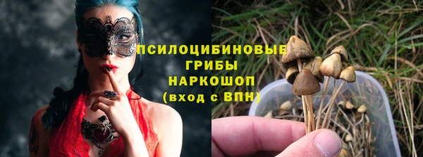 индика Краснотурьинск