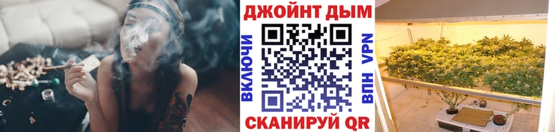 Купить где Курчалой Канабис OG Kush